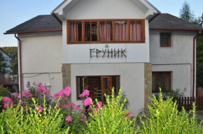 Guest House Grunyk